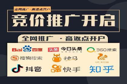 大型企业SEM外包实战案例