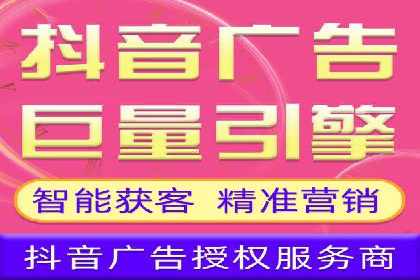 百度竞价SEM案例：揭秘高效广告投放技巧